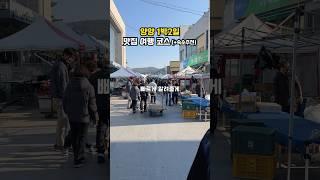 양양 1박2일 여행코스 추천