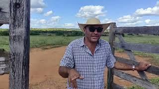 repórter matuto chegando na fazenda saco de Mirandiba onde nasceu doutor Assis de Antônio malfada.