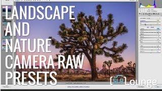 Adobe Camera Raw Presets | Editing Nature and Landscapes - SLR Lounge Preset System (version 5.1)