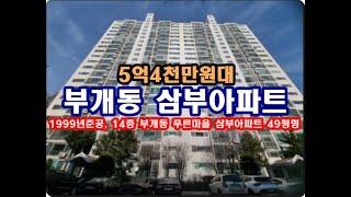 인천 부평구 부개동 499 2 푸른마을 삼부아파트경매