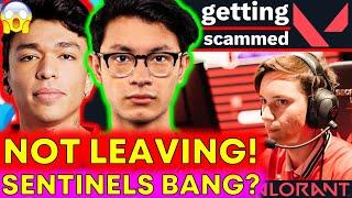 Zekken RESPONDS to Sentinels, Bang Trials LEAKED?!  VCT Rostermania