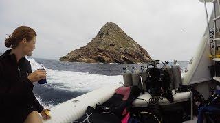 ScienceSea TV - Episode #4: Scuba Diving the Coronado Islands, Mexico