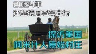 2024年还坚持只用马车出行？探访美国阿米什人的原始村庄