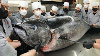 Amazing! 300kg Giant Bluefin Tuna Cutting Show and rice topped with tuna / Korean street food