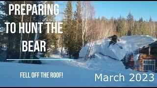 Weekdays in the taiga, preparing for a bear hunt, fell from the roof of the winter hut. Siberia 2023