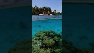 Have you ever seen water so clear?  #ocean #snorkeling #frenchpolynesia #sailing #paradise #travel