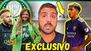 EXLCUSIVONICOLA TRAZ INFORMAÇÕES ATUALIZADAS DO PALMEIRAS NESSE DOMINGO! NOTÍCIA IMPORTANTE