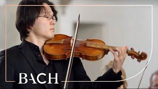 Bach - Erbarme dich, mein Gott from St Matthew Passion BWV 244 | Netherlands Bach Society