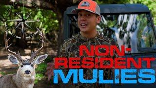 Top 3 States For Non-Resident Mule Deer Hunters - Mule Deer Hunting Tips - The Green Way Outdoors