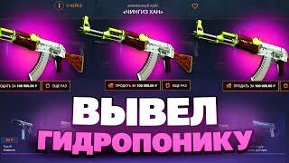 ВЫВЕЛ АК47 ГИДРОПОНИКА С CASEBATTLE?! НЕ КЛИКБЕЙТ!