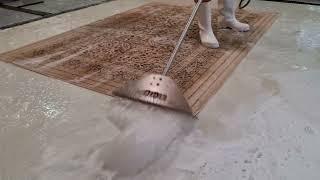 Protima carpet scraper