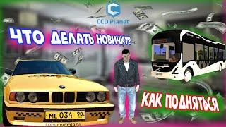 CCDPlanet #3 | Как начать играть на ССД Планет | Лучшая работа CCD Planet