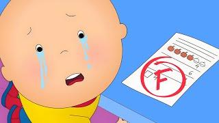 O Fracasso Escolar de Caillou | Caillou em Português - WildBrain