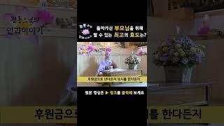 돌아가신 부모님을 위해서 할 수 있는 최고의 효도는?