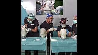 Training of Surgical Team Asmed Hair Transplant Clinic İstanbul Türkiye. Dr. Koray Erdoğan