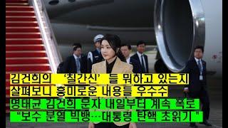 김건희의 '7간신들' 추적해보니 흥미로운 내용들 우수수...탄핵 여론 고조