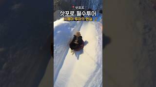 혼자도 투어 가능하다규 #삿포로여행