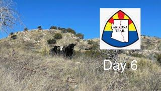 The Things We Run From | Thru Hiking The Arizona Trail! Day 6