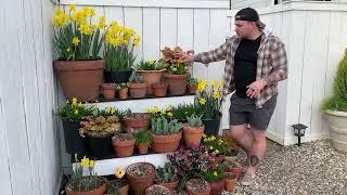 Project update, Claus Dalby planting! 🪴