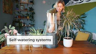 4 DIY Self-Watering Systems / Water Plants While Away!