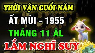 Tử Vi Tháng 11 ÂL Ất Mùi 1955: Hiểm Họa Rình Rập, Cẩn Trọng Từng Bước Bảo Vệ Tài Lộc, Đón Tết An Yên