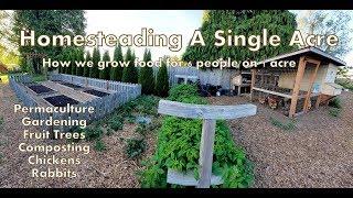 Our 1 Acre Homestead - How We Micro Farm