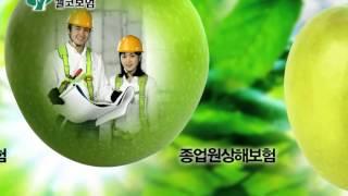 CAL-KOR Insurance ( 캘코보험 )