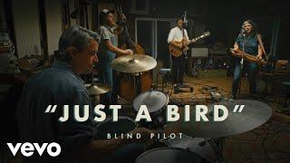 Blind Pilot - Just A Bird (Official Live Session)