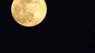 Supermoon 2020 - 10 Minutes Real Time