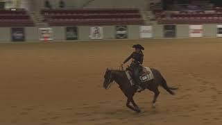 2025 Florida Reining Classic Monday Feb 17