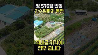 땅576평 과수원 딸린 전원주택