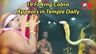 Amazing King Cobra Snake Puja Video performed at a Temple in Malaysia