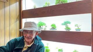 Jack Wikle:  American Bonsai Artist In His Own Words