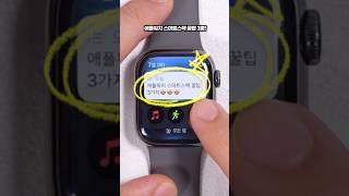 애플워치 활용도 2배로 늘려주는 스마트 스택 꿀팁