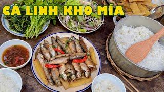 Róc mía kho với CÁ LINH, ngon lành đúng điệu quê mình miền Tây | Đặc sản miền sông nước