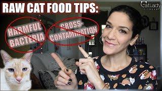 Making Raw Cat Food: Tips to buy fresh meat & avoid cross-contamination! - Cat Lady Fitness