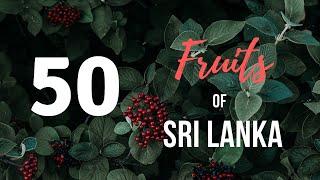 Sri Lankan Fruits | Tropical and Wild Fruits of Sri Lanka.