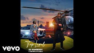 DJ Sumbody - Top Level (Official Audio) ft. Kamo Mphela, The Lowkeys