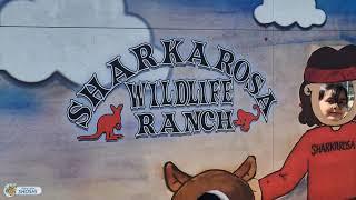 Field Trip to Sharkarosa Zoo || Sharkarosa Wildlife Ranch, Pilot Point, Texas #Sharkarosa #zoo