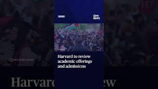 Harvard to review academic offerings and admissions