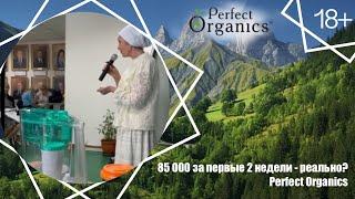 85 000 за первые 2 недели - реально? // Perfect Organics