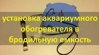 Установка аквариумного нагревателя в бродильную емкость.