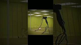 Backrooms futbol #football #edit #backrooms
