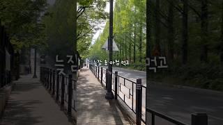 또가형 하루 (휴무일 그냥 쉬기) #영어강사 #브이로그 #강사 #직장인 #직장인유튜버 #휴일 250506