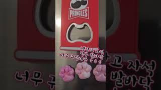 소원팔찌 끊어지면 소원이뤄지나요 구독친구  로라님 공방개업선물 감사합니다 대박나세요!!!