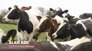 Dairy Cow Spring Breeding Update - Alan Gee Glanbia 2018