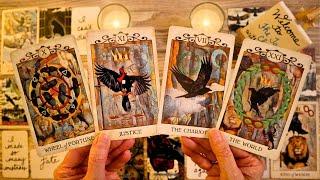 LOVE TAROT- THE END OF NO COMMUNICATION!! WHAT YOU’VE WAITED TO HEAR!! ️