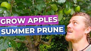 How to Prune Apple Trees in Summer