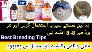 Best Multivitamin Calcium and Minerals for birds|sources of calcium|Breeding Tips...