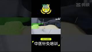 中医针灸课程